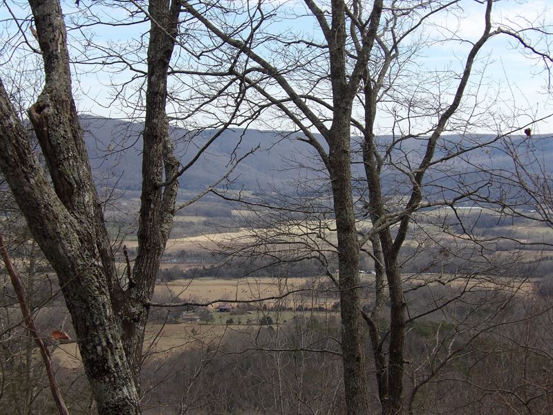 Spectacular Views, Creek, Surveyed : Pikeville : Bledsoe County : Tennessee