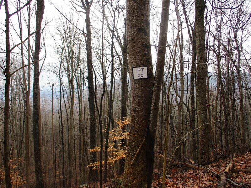 Close to Town : Pikeville : Bledsoe County : Tennessee