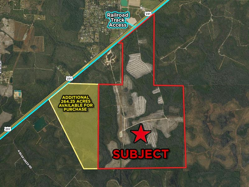 803 Acres AG Land in Bay County : Panama City : Bay County : Florida