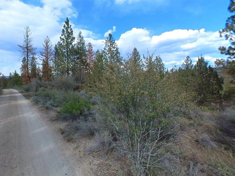 Live The Dream in Klamath County : Beatty : Klamath County : Oregon