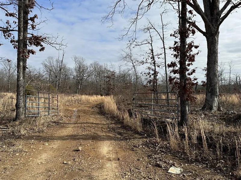 Large Acreage in Sharp County, AR : Williford : Sharp County : Arkansas