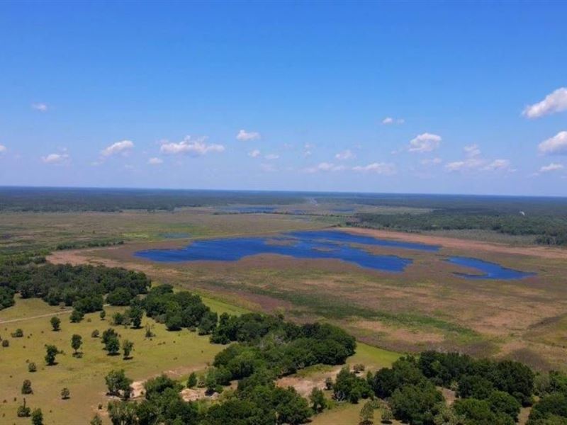Ready to Build Your Dream Home : Umatilla : Marion County : Florida