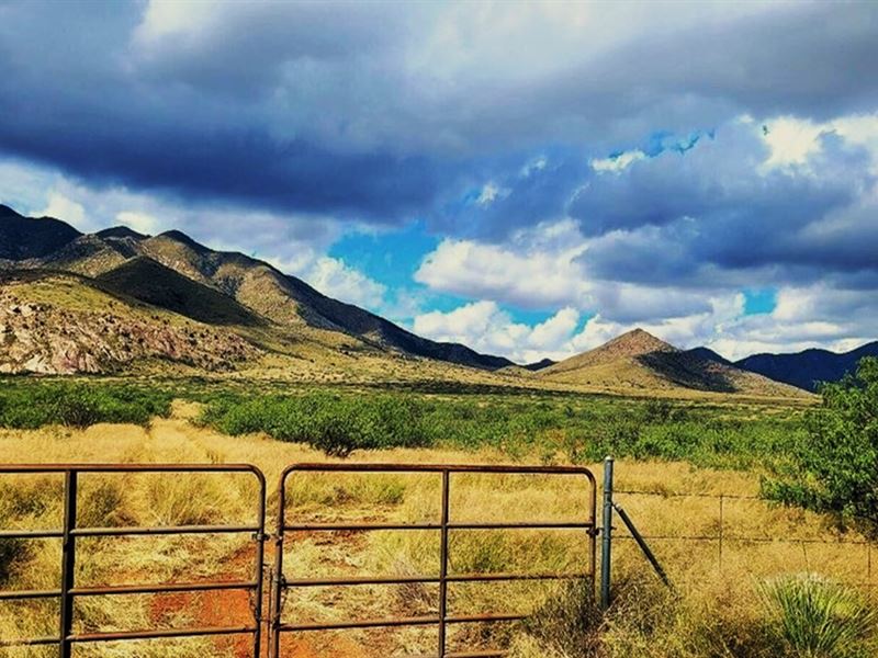 Ready, Set, Retire Here in AZ : Sunsites : Cochise County : Arizona