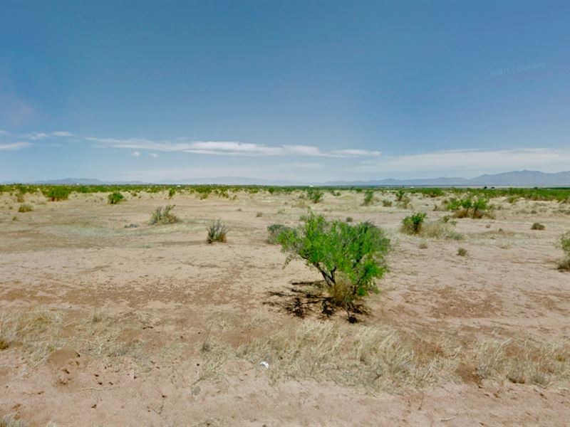 Escape to Luxury, 0.868 Remote Acre : Sunsites : Cochise County : Arizona