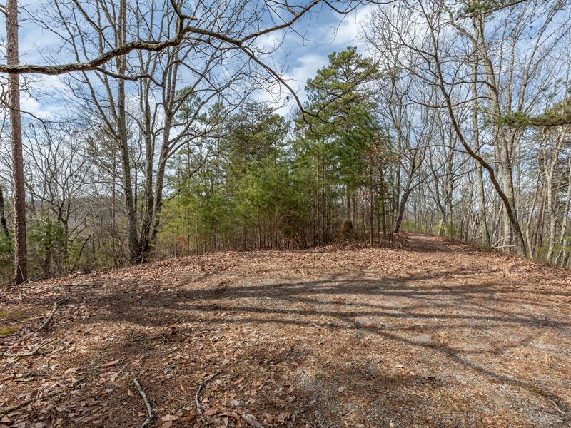 Owner Financing Available : Ranger : Gordon County : Georgia