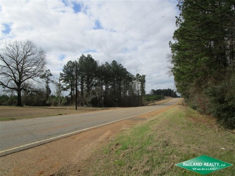 34 Ac, Timberland Suitable for Hom : Many : Sabine Parish : Louisiana