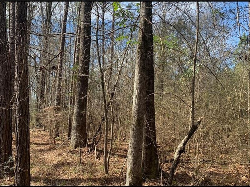 14 Acres in Copiah County in Wesson : Wesson : Copiah County : Mississippi