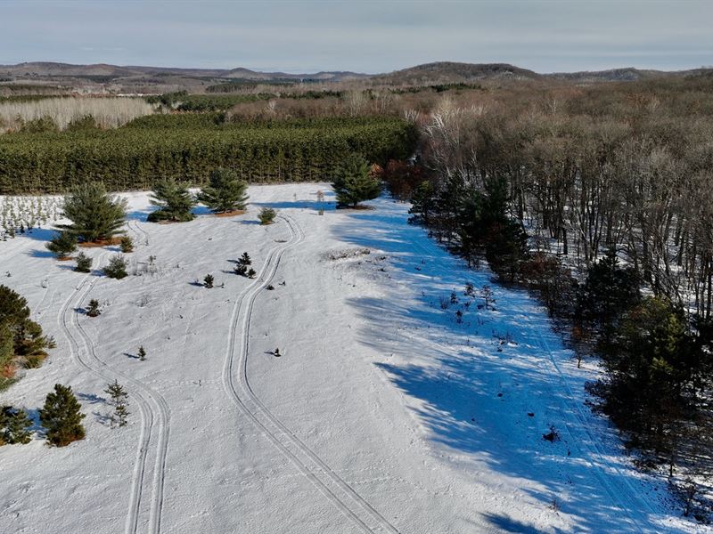40 Acres in Dunn County : Wheeler : Dunn County : Wisconsin