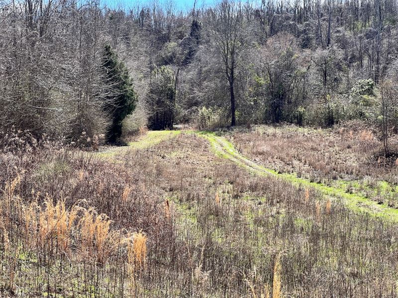 257 Ac Hwy 61 S, Natchez, MS : Natchez : Adams County : Mississippi