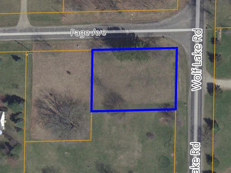 Residential Vacant Lot for Sale : Grass Lake : Jackson County : Michigan