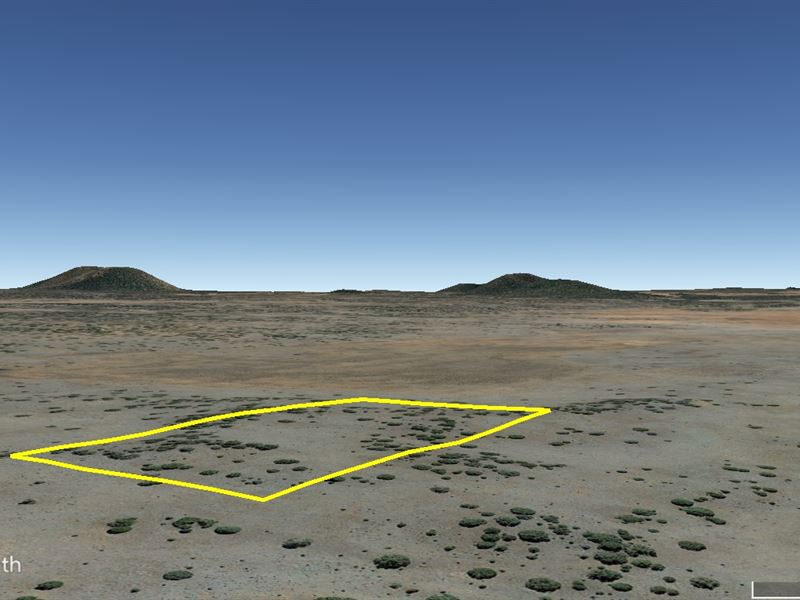 Trees, Meadows, Views : Ramah : Cibola County : New Mexico
