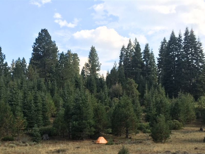 Grab Your Pole : Alturas : Modoc County : California