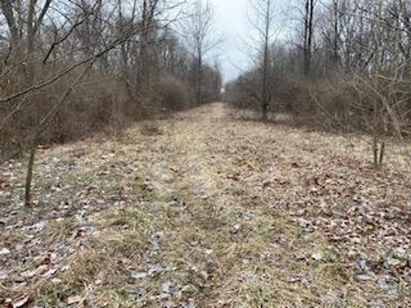 Land for Sale in Clay County, IN 27 : Brazil : Clay County : Indiana