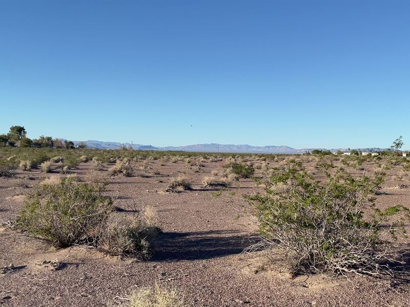 Live Grand with Spacious Land : Amargosa Valley : Nye County : Nevada