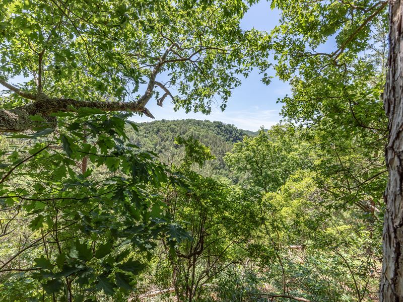 Great Views Plus Amenities : Ranger : Gordon County : Georgia