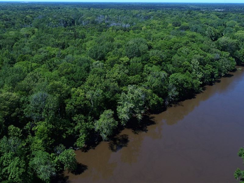 Incredible Riverfront Property : Elizabethtown : Bladen County : North Carolina