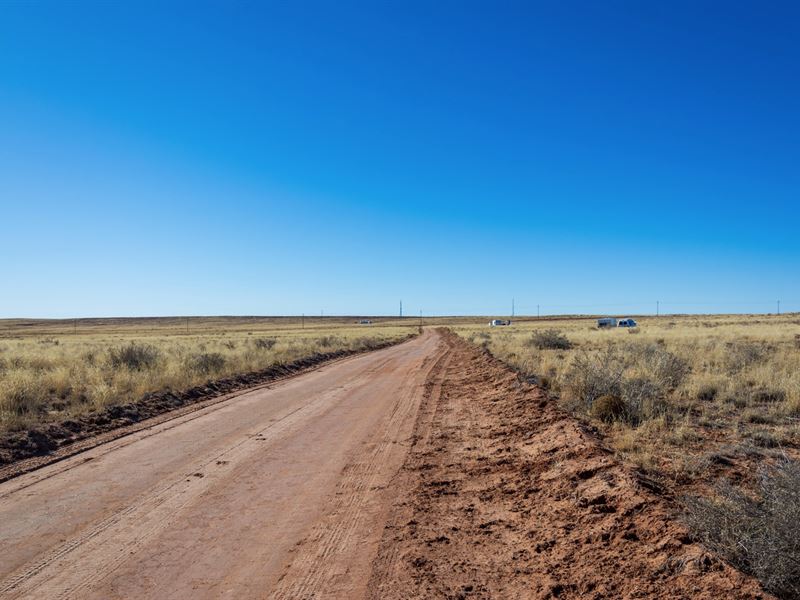 1 Acre in The Arizona Sun : Holbrook : Apache County : Arizona