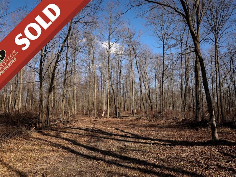 Creek Rd, 20 Acres, Ashtabula Cou : Williamsfield : Ashtabula County : Ohio
