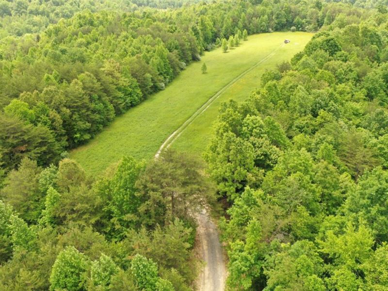 Beautiful Tract with Small Stream : Williamsburg : Whitley County : Kentucky