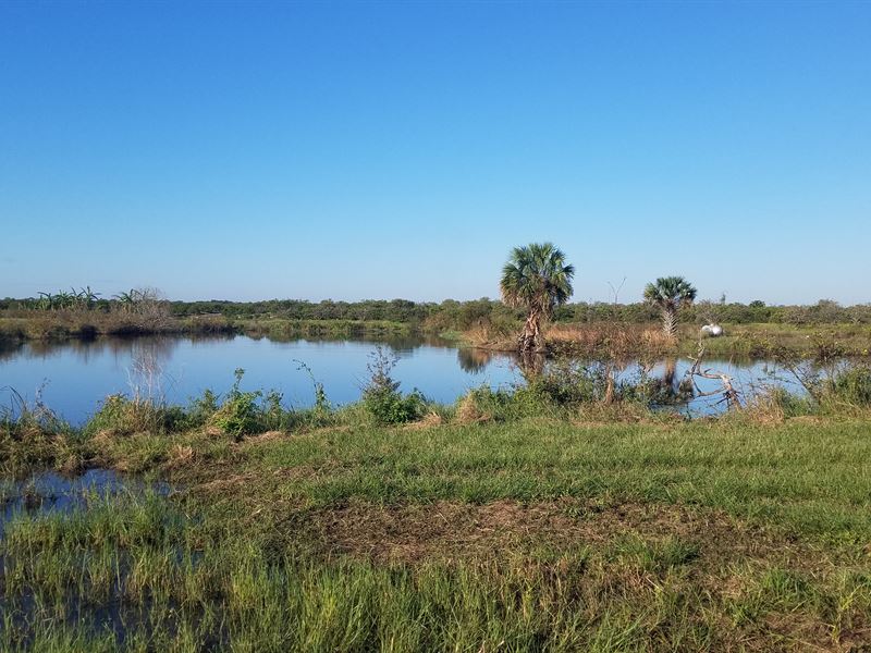 44 Acres Grove with Lake Views : Frostproof : Polk County : Florida