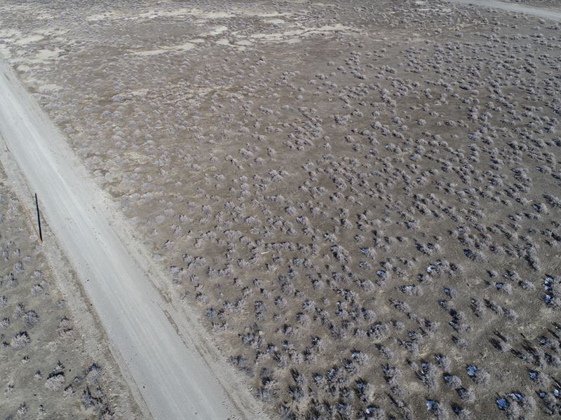 River Ranches, Pershing County : Lovelock : Pershing County : Nevada