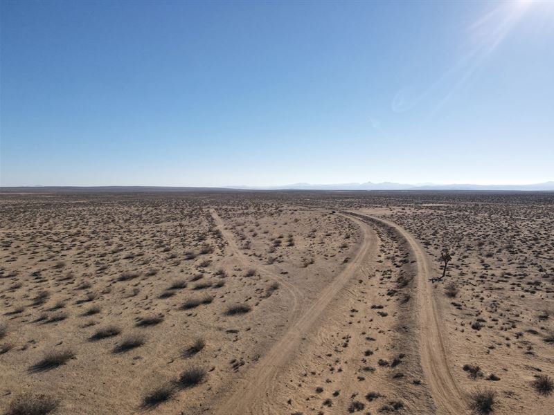 Get Out of Town & Back to Nature : Helendale : San Bernardino County : California