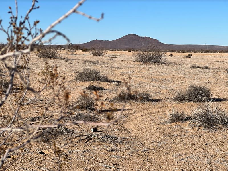 Enjoy The Desert Lifestyle : Kramer Hills : San Bernardino County : California