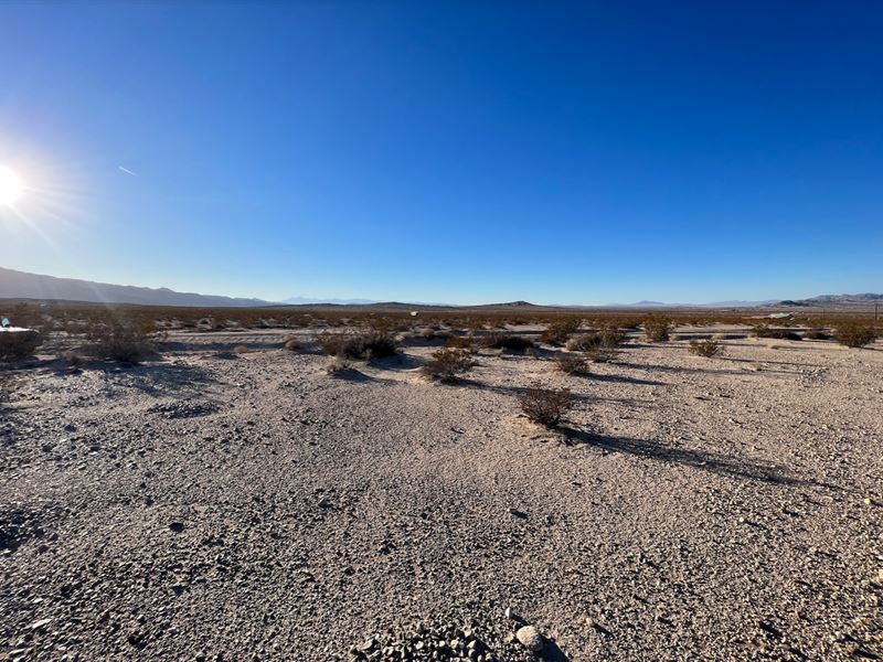 Near Joshua Tree National Park : Twentynine Palms : San Bernardino County : California