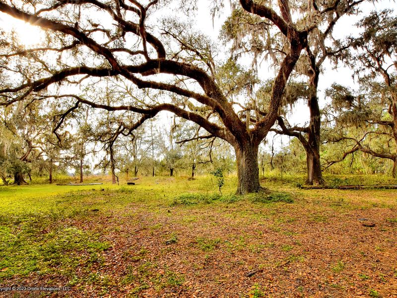 Secluded Plant City Preserve : Plant City : Hillsborough County : Florida