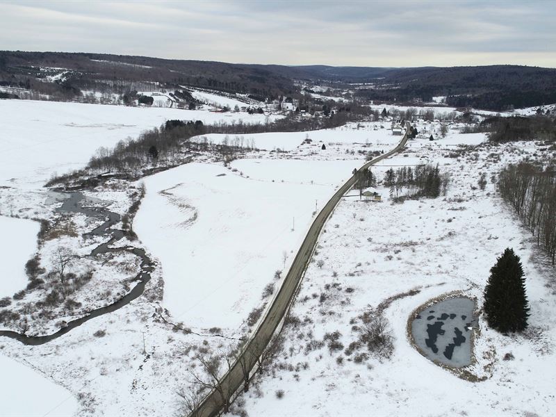 Large Country Lot and Farm Acreage : Triangle : Broome County : New York