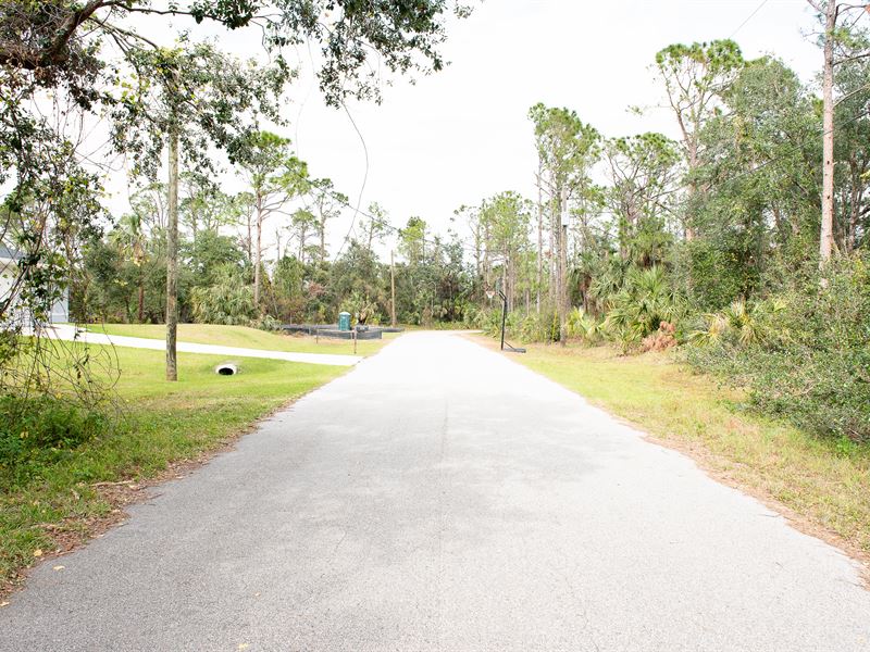 Power & Paved Road Access : North Port : Sarasota County : Florida