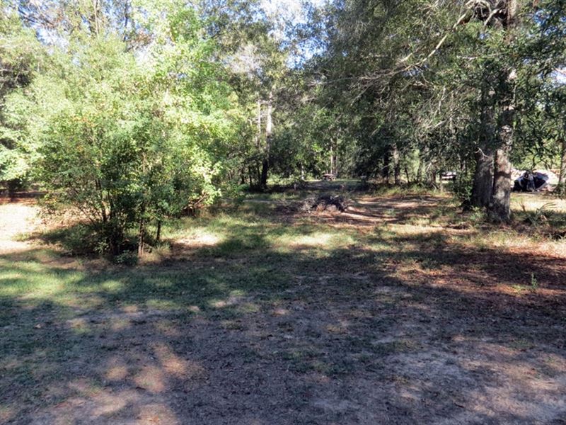 4 Acres in Montgomery, Texas : Montgomery : Montgomery County : Texas