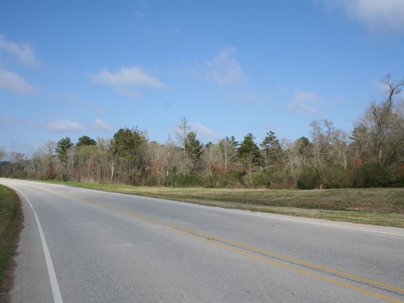 Simonton Park 17 : Montgomery : Montgomery County : Texas