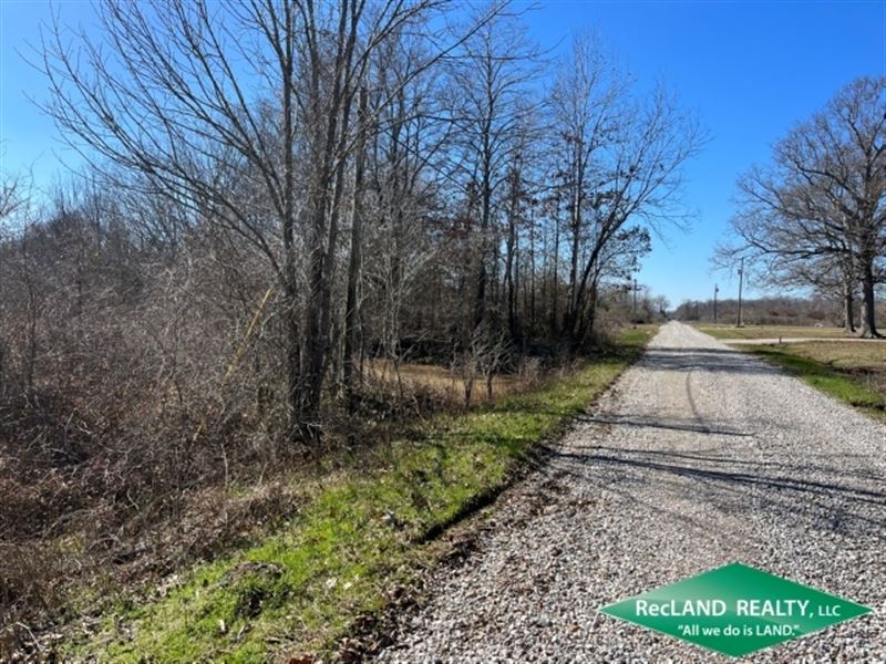 40 Ac, Wrp Hunting Tract : Oak Ridge : Richland Parish : Louisiana