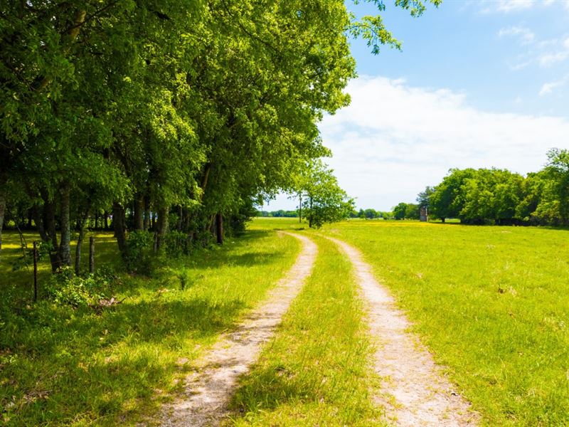 23 Acre Ranch Land in TX : Mexia : Limestone County : Texas