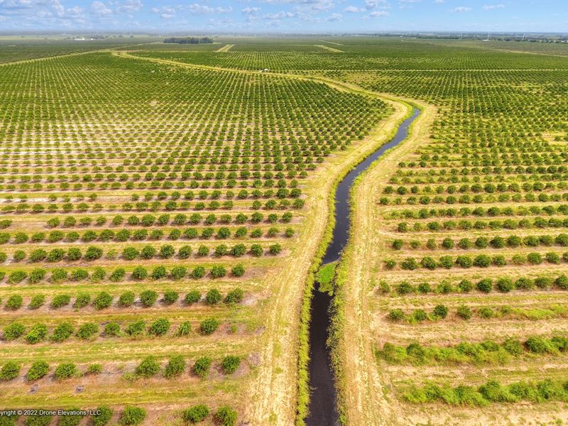 Limestone Grove, Arcadia, FL : Arcadia : DeSoto County : Florida