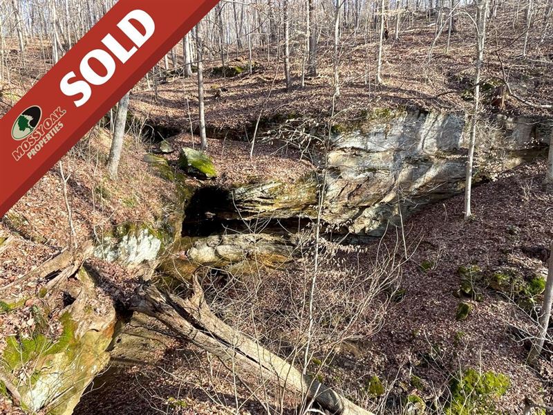 Boyer Rd, 48 Acres, Athens County : Guysville : Athens County : Ohio