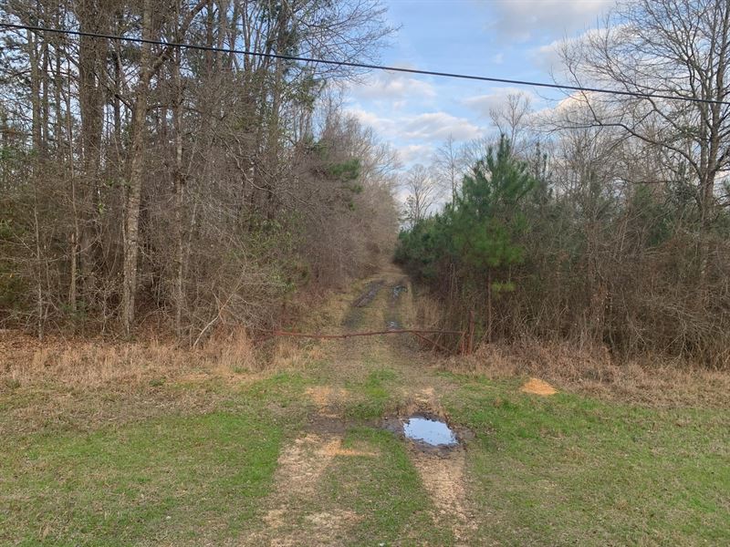 Street Rd 151+/- Ac Amite County : Liberty : Amite County : Mississippi