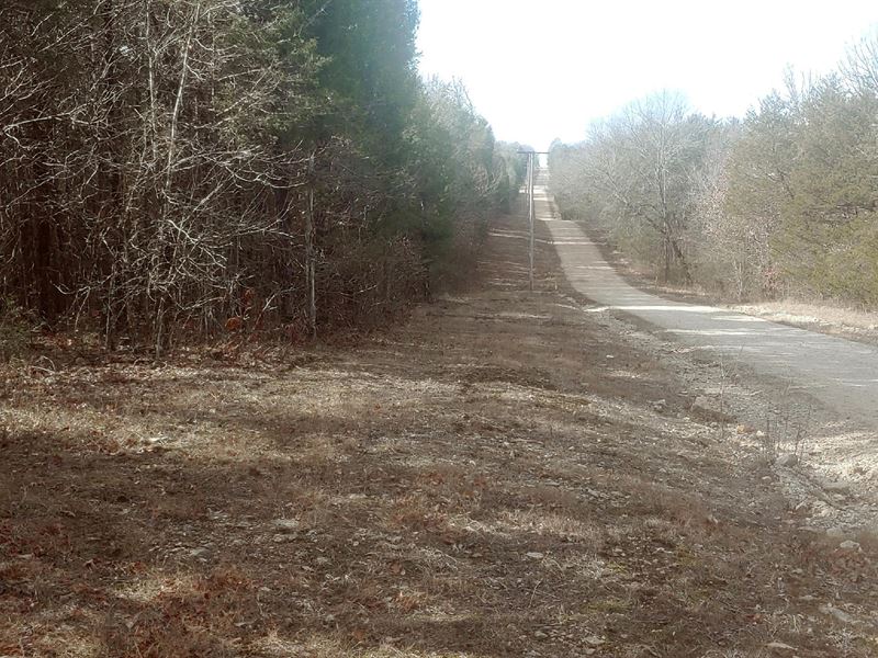 Nature's Trio, Hike, Bike, Lake : Diamond City : Boone County : Arkansas