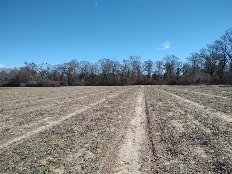 Hunter Road 10 : Columbia : Houston County : Alabama