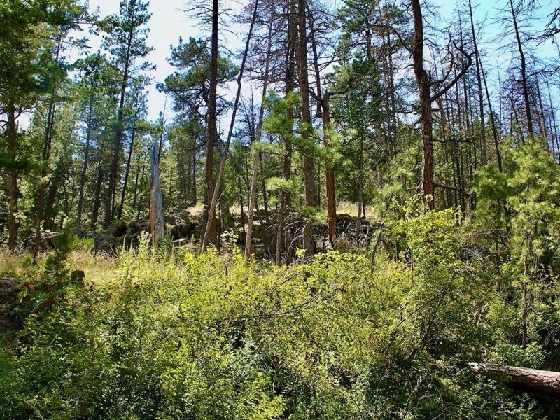 Box Canyon Beauty : Cascade : Cascade County : Montana