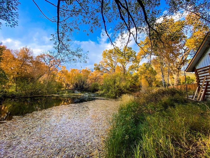 Weeping Willow Ranch on Barbara Cre : Blanca : Costilla County : Colorado