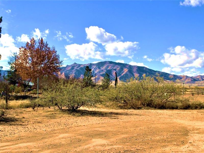 Start Your Dream Home in AZ : Sunsites : Cochise County : Arizona