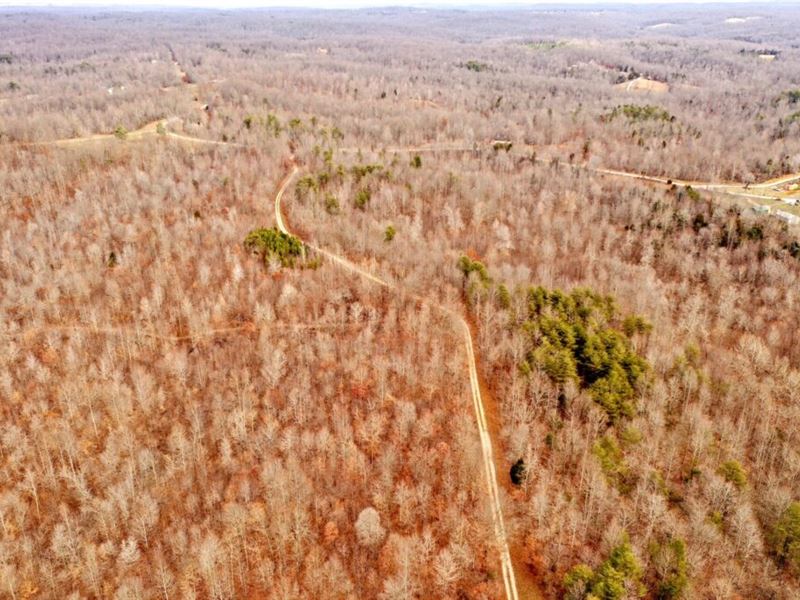 Off Grid Property Near Green River : Greensburg : Green County : Kentucky