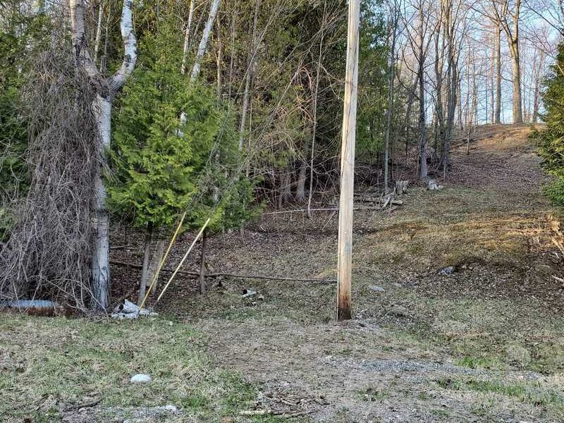 Land Close to Lake Charlevoix : Boyne City : Charlevoix County : Michigan