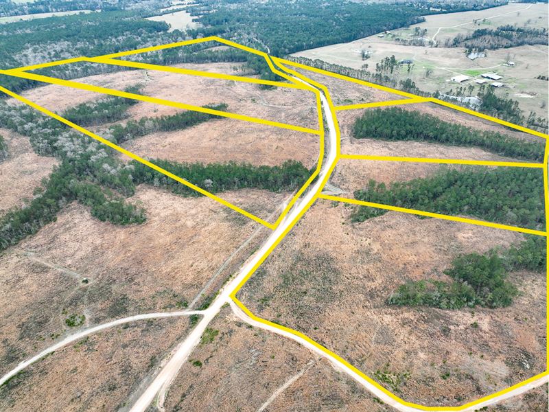 12 Acres, Paces Creek T-4A : Moscow : Polk County : Texas