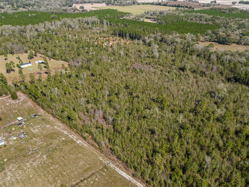 Great Opportunity in Madison County : Madison : Madison County : Florida