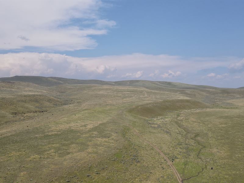 Alder Creek Pasture : Baker City : Baker County : Oregon