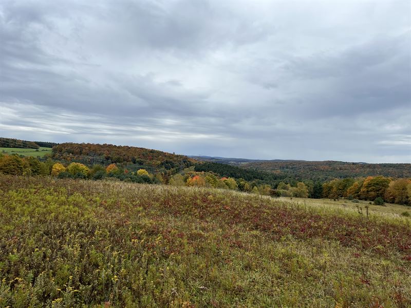 Close to Oneonta : Laurens : Otsego County : New York