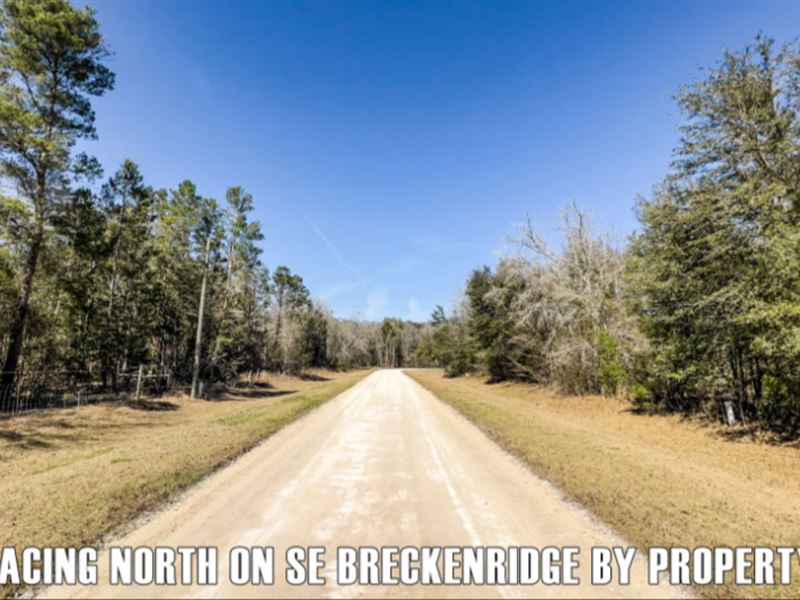 Easy Owner Finance, Private & Quiet : Lee : Madison County : Florida